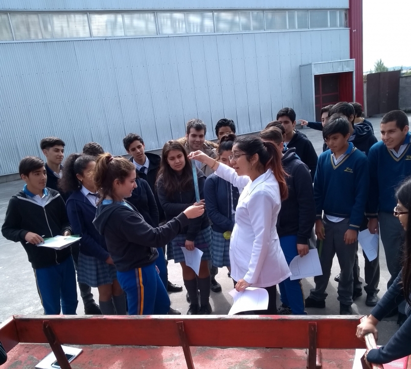 Programa Seguimiento Docente: Matemática aplicada en las aulas del sur de Chile